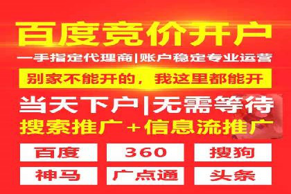 竞价SEM托管案例：精准营销的利器